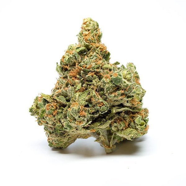 Buy Amnesia Haze Online