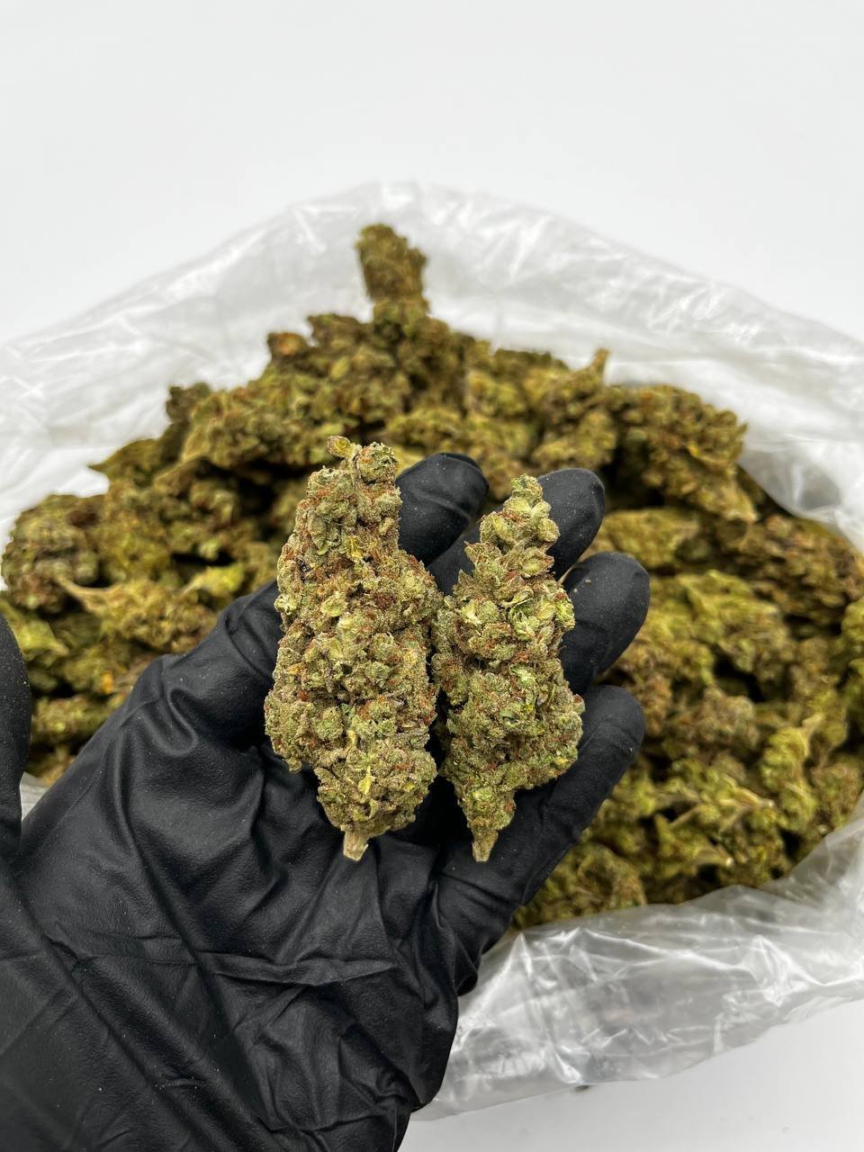 Buy Jet Fuel Online | Top Quality G6 Strain For Sale