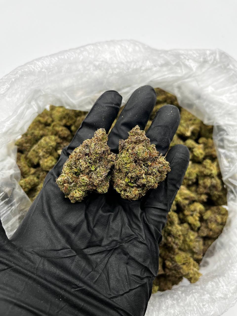 Buy Lemon Cherry Gelato Online – Top Quality Hybrid | Chemsfine
